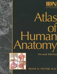 human anatomy atlas netter